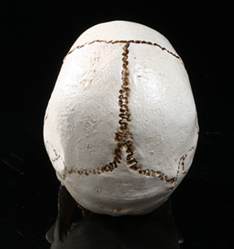 骷髅头-108 (5)_副本