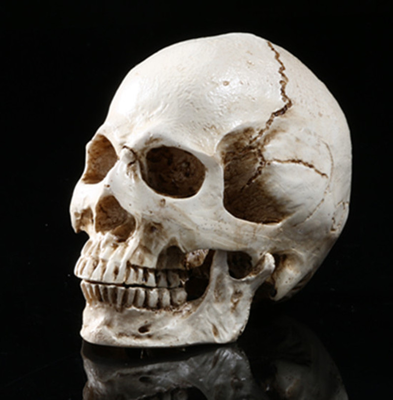 骷髅头-108 (4)_副本