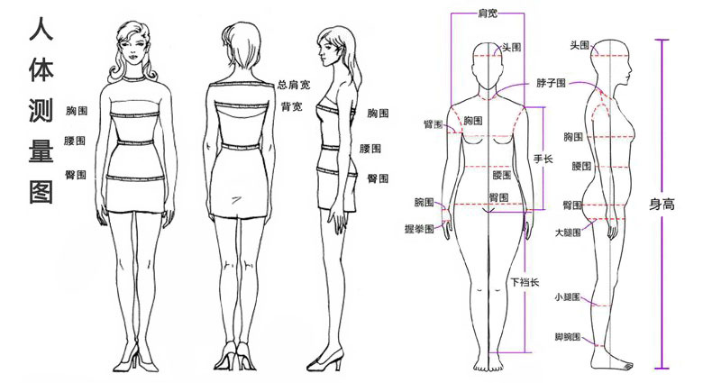 尺寸测量表-人体