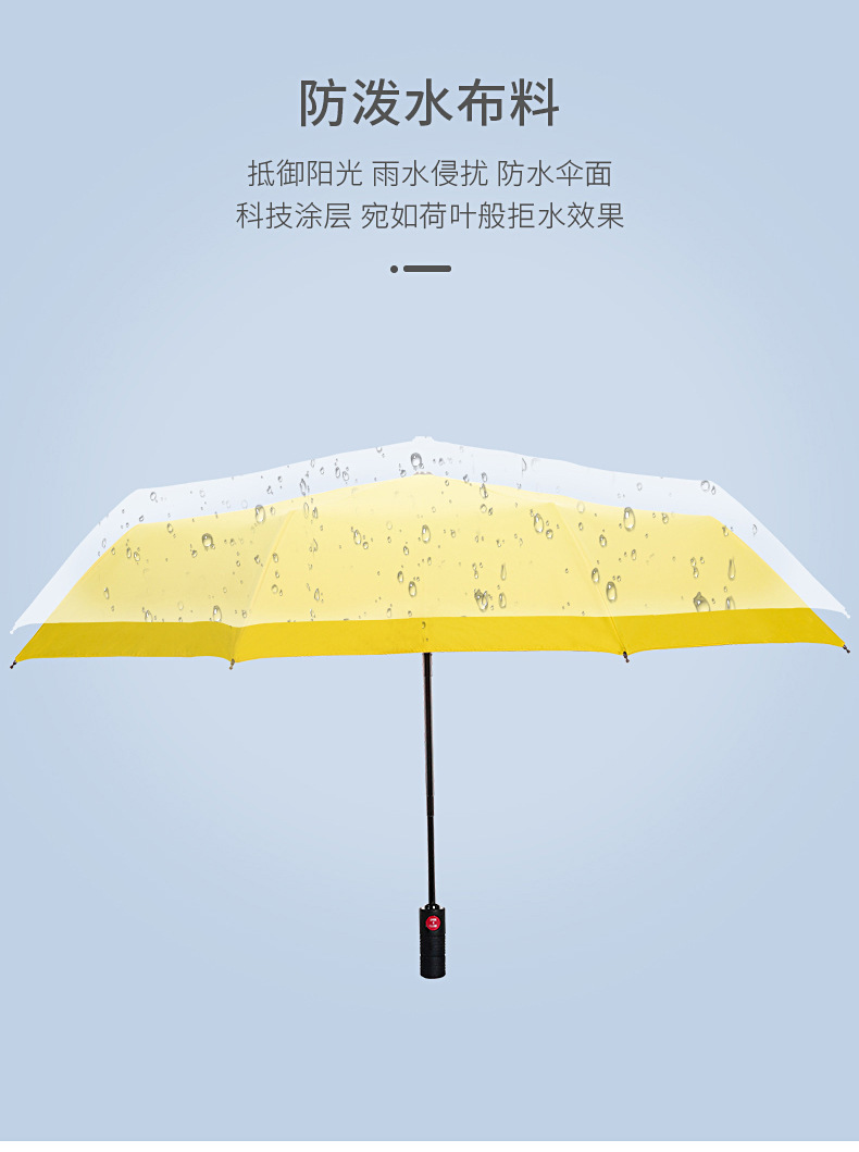 雨伞_10.jpg