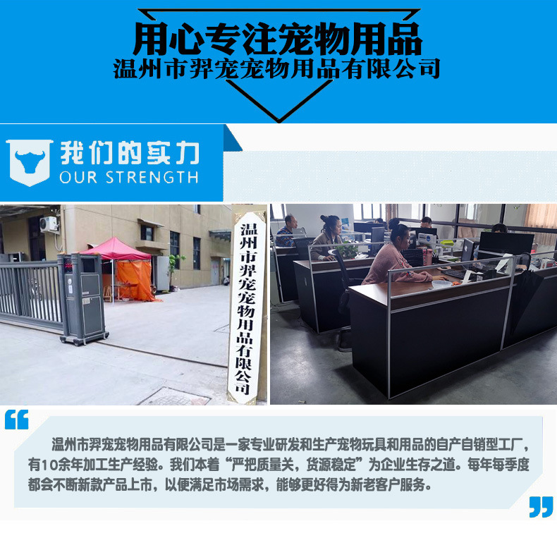 宠物圣诞玩具