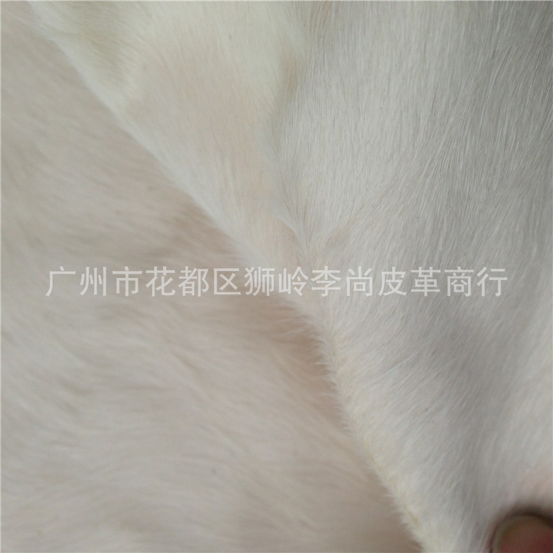 白色1