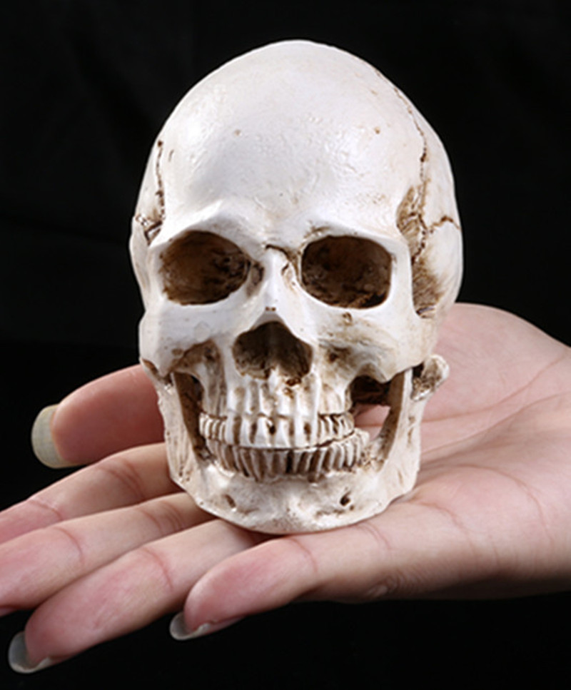 骷髅头-108 (3)_副本