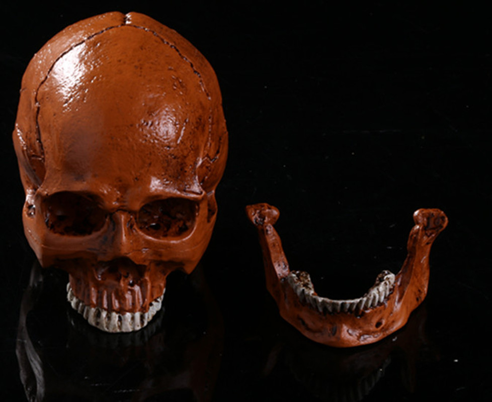 骷髅头-109_副本