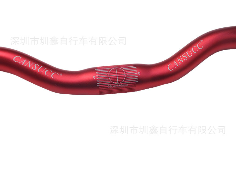 254 L520 小燕把 (3)