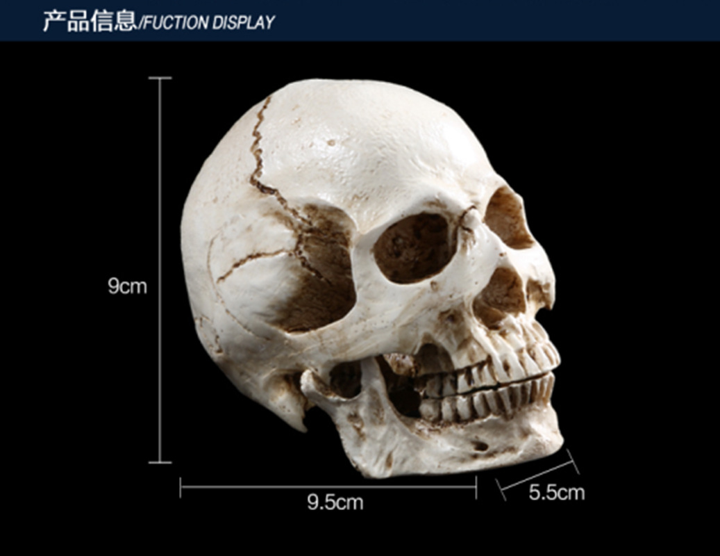 骷髅头-108 (6)_副本