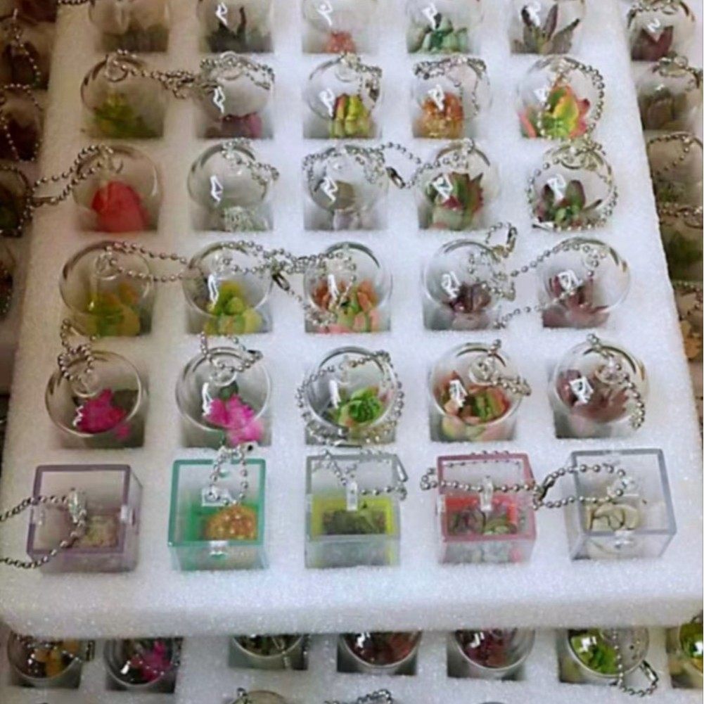 2024-10-21 11:57:53.jpg