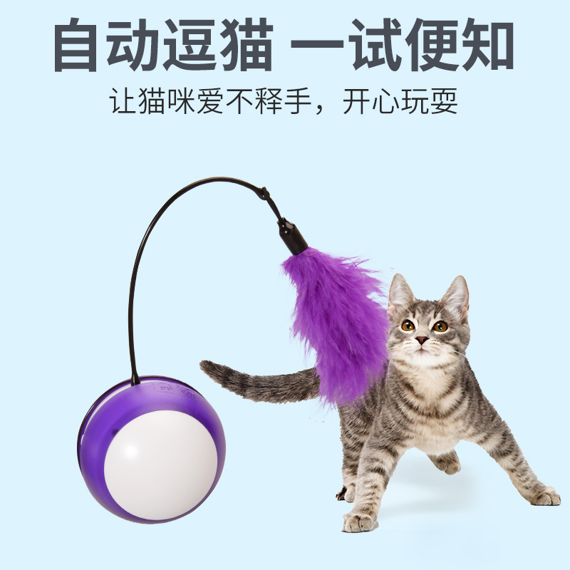 电动逗猫玩具 (2).jpg