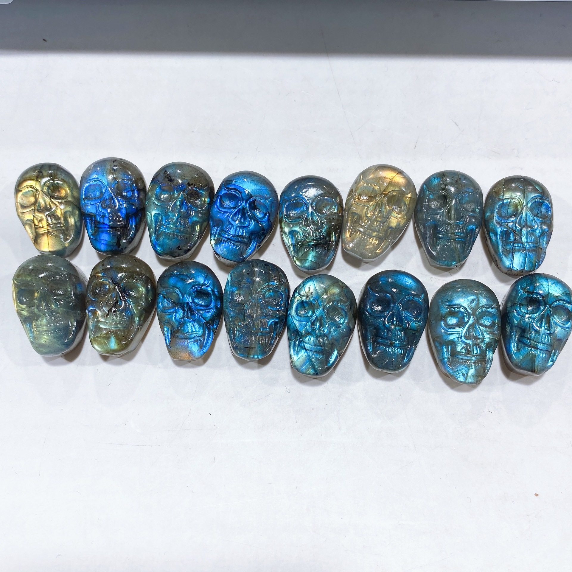 IMG_2501(20221104-105113)