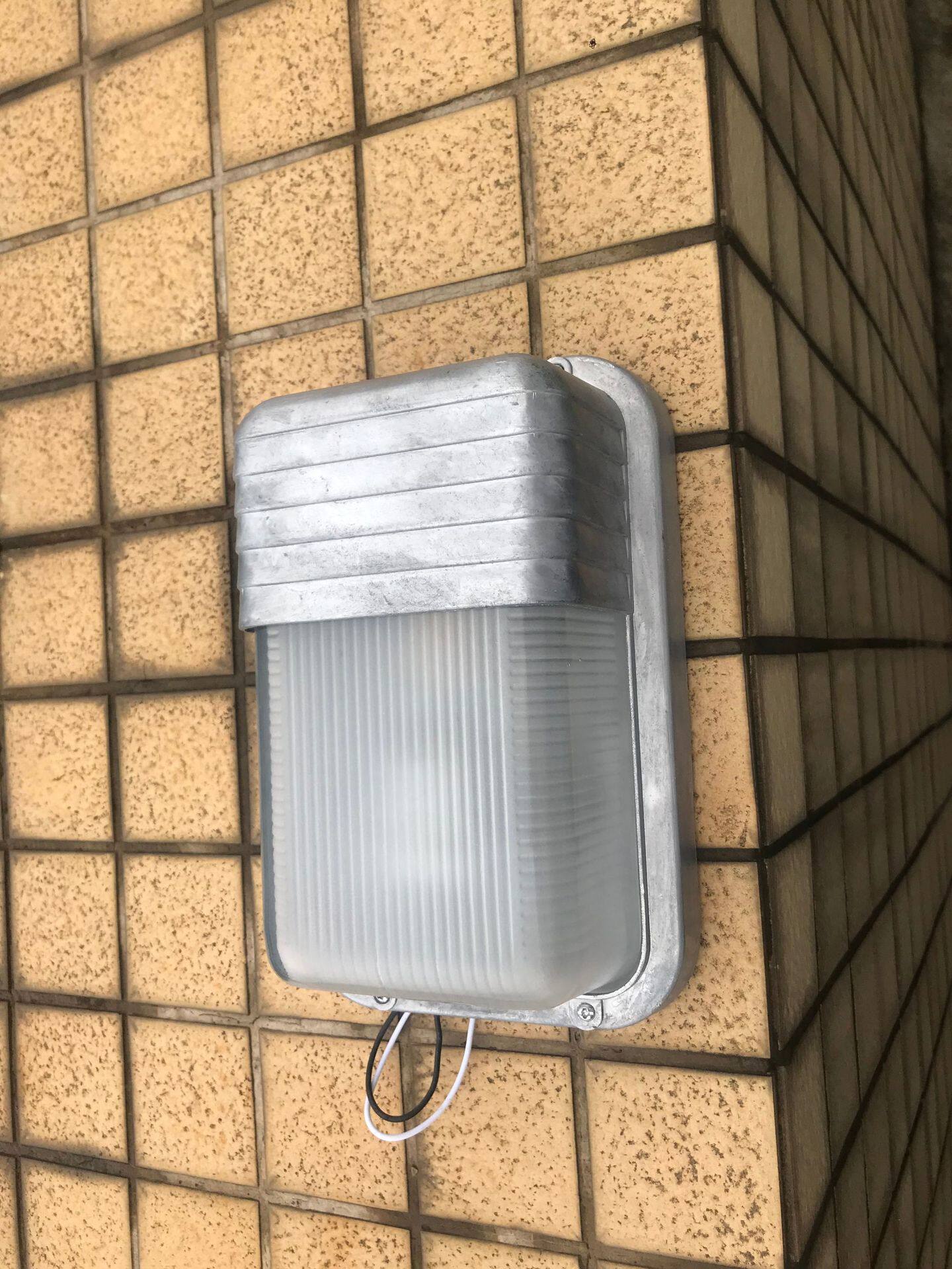 手机实拍 (8).jpg