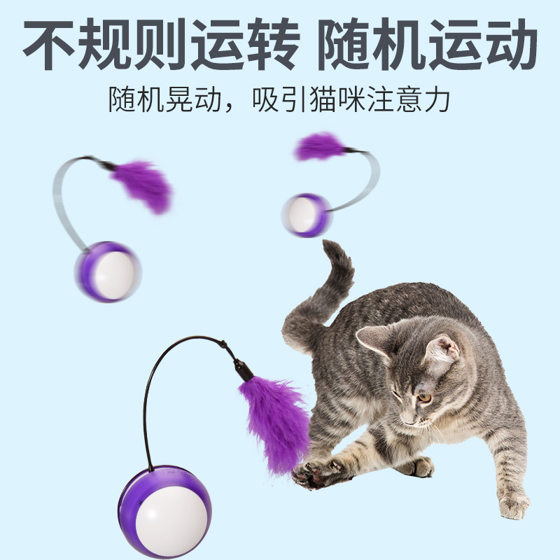 电动逗猫玩具 (3).jpg