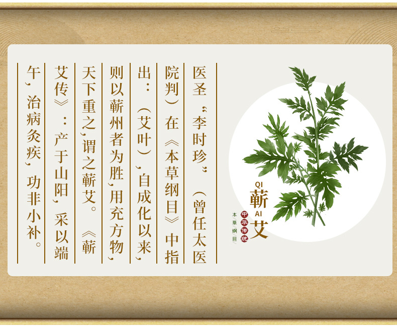 蕲艾叶_04.jpg