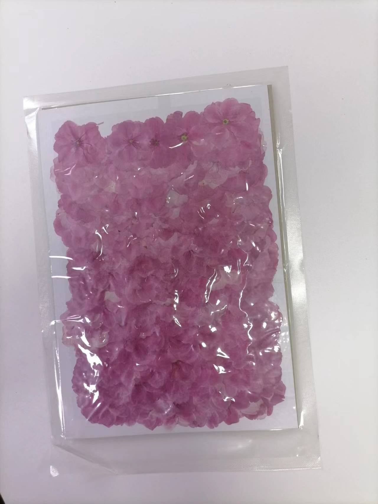 樱花2