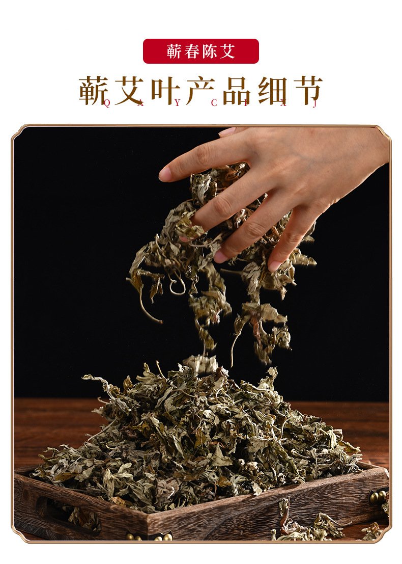 蕲艾叶_11.jpg