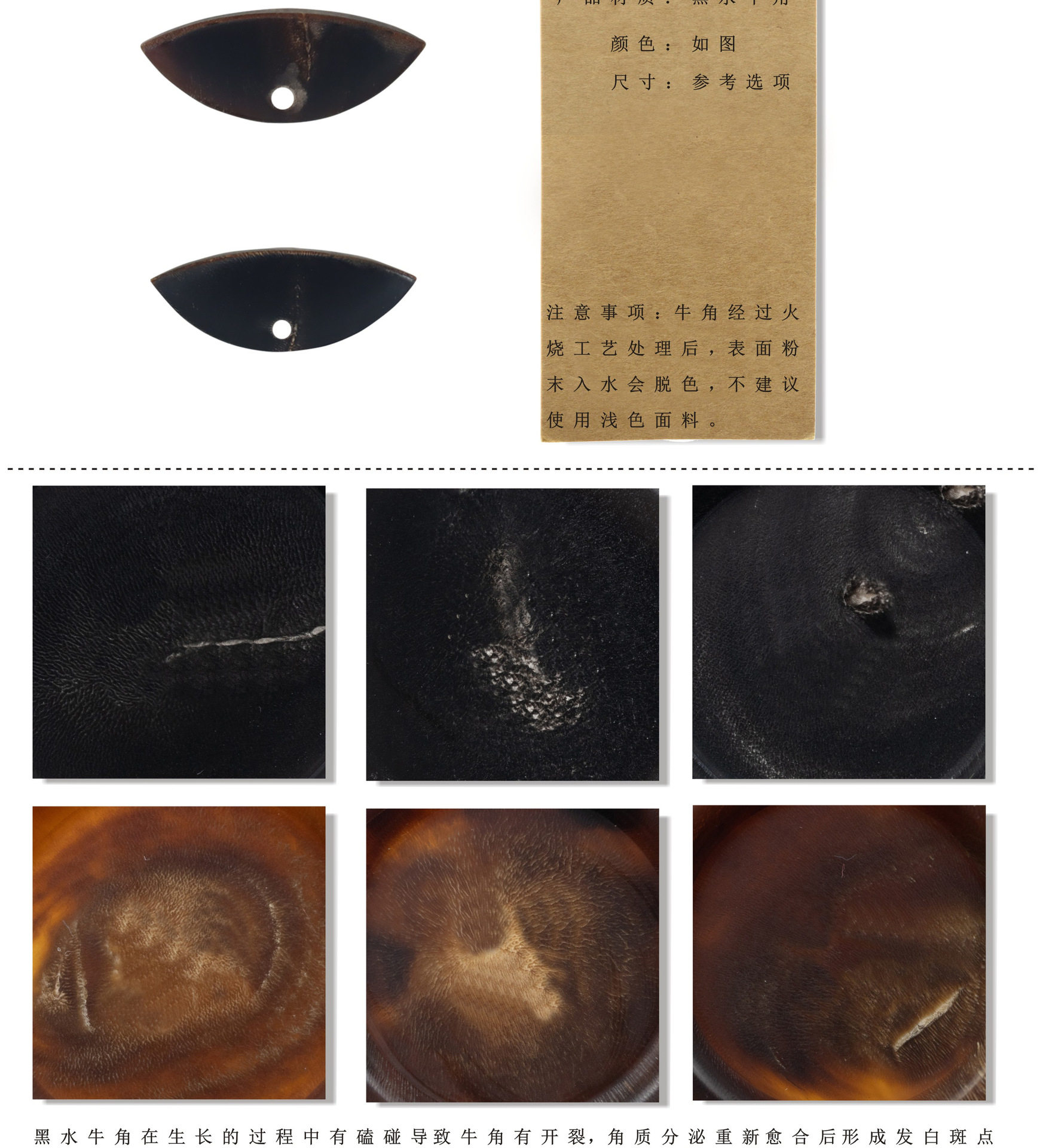 牛角_02.jpg