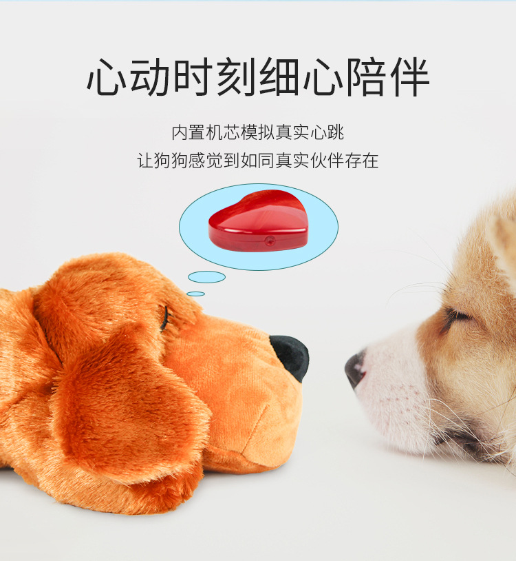 宠物玩具
