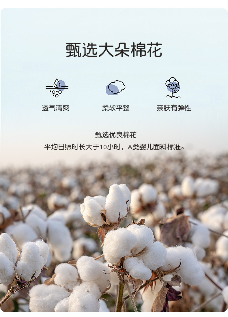 详情_02.jpg