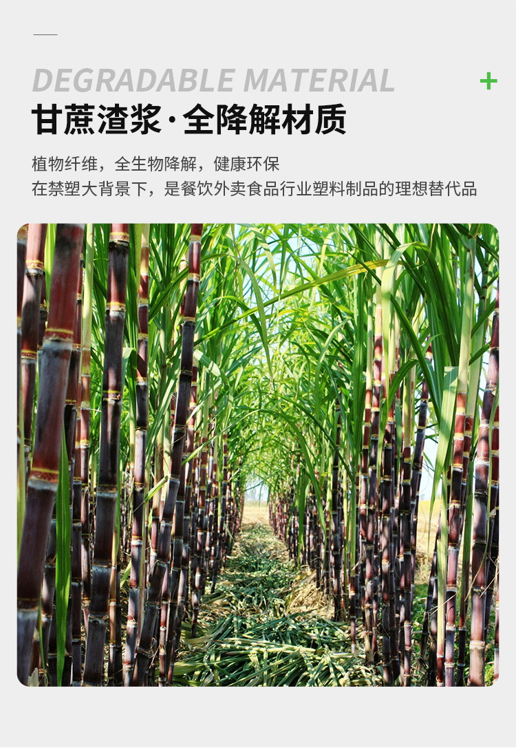 甘蔗圆盒06