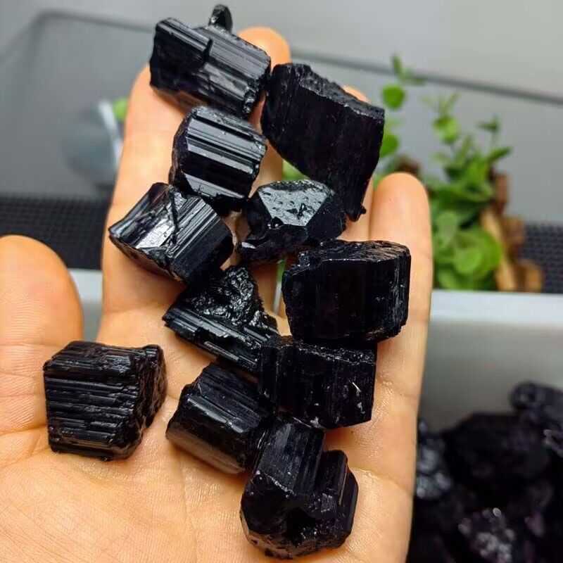 QQ图片20240902085939