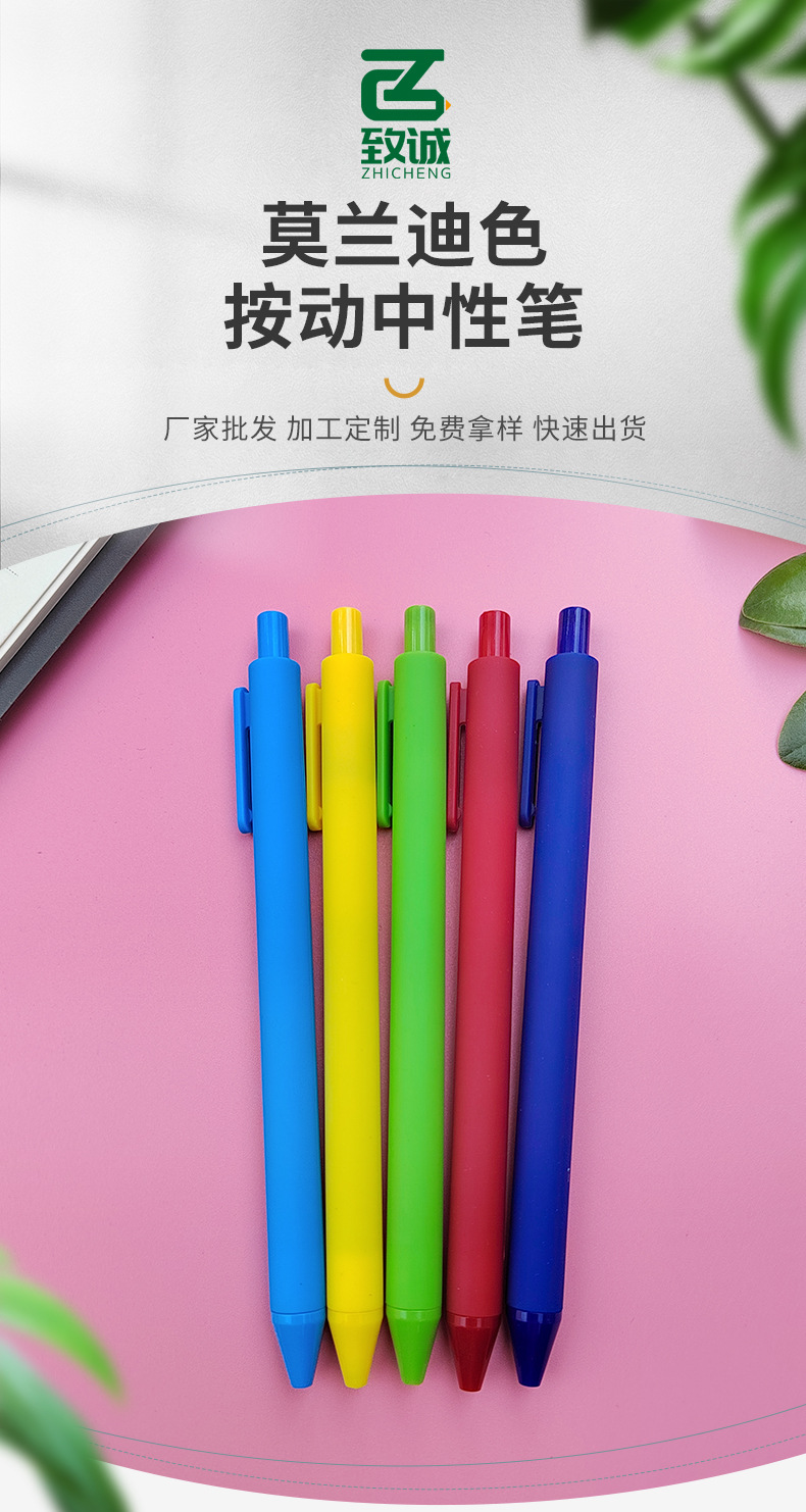 莫兰迪彩色圆珠笔