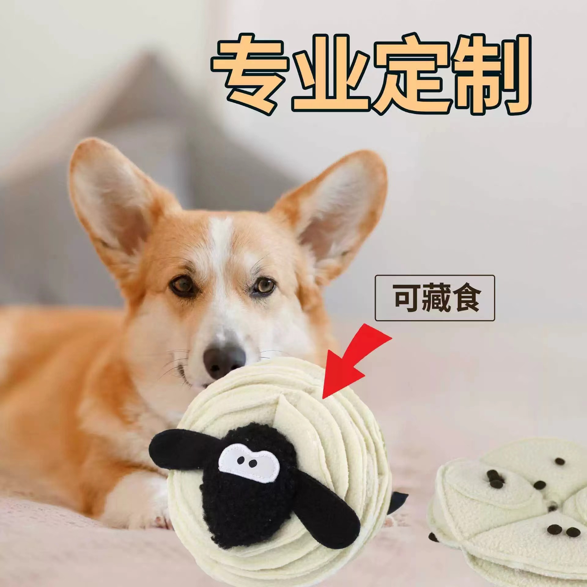 微信图片_202407012154401
