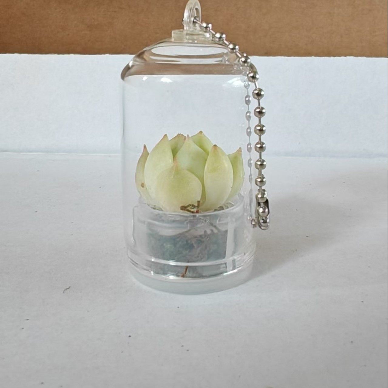 2024-10-21 10:36:33.jpg