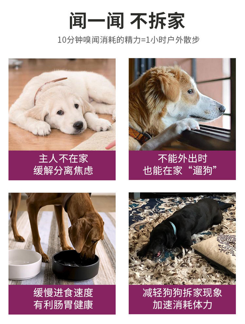 万圣节宠物毛绒玩具.jpg