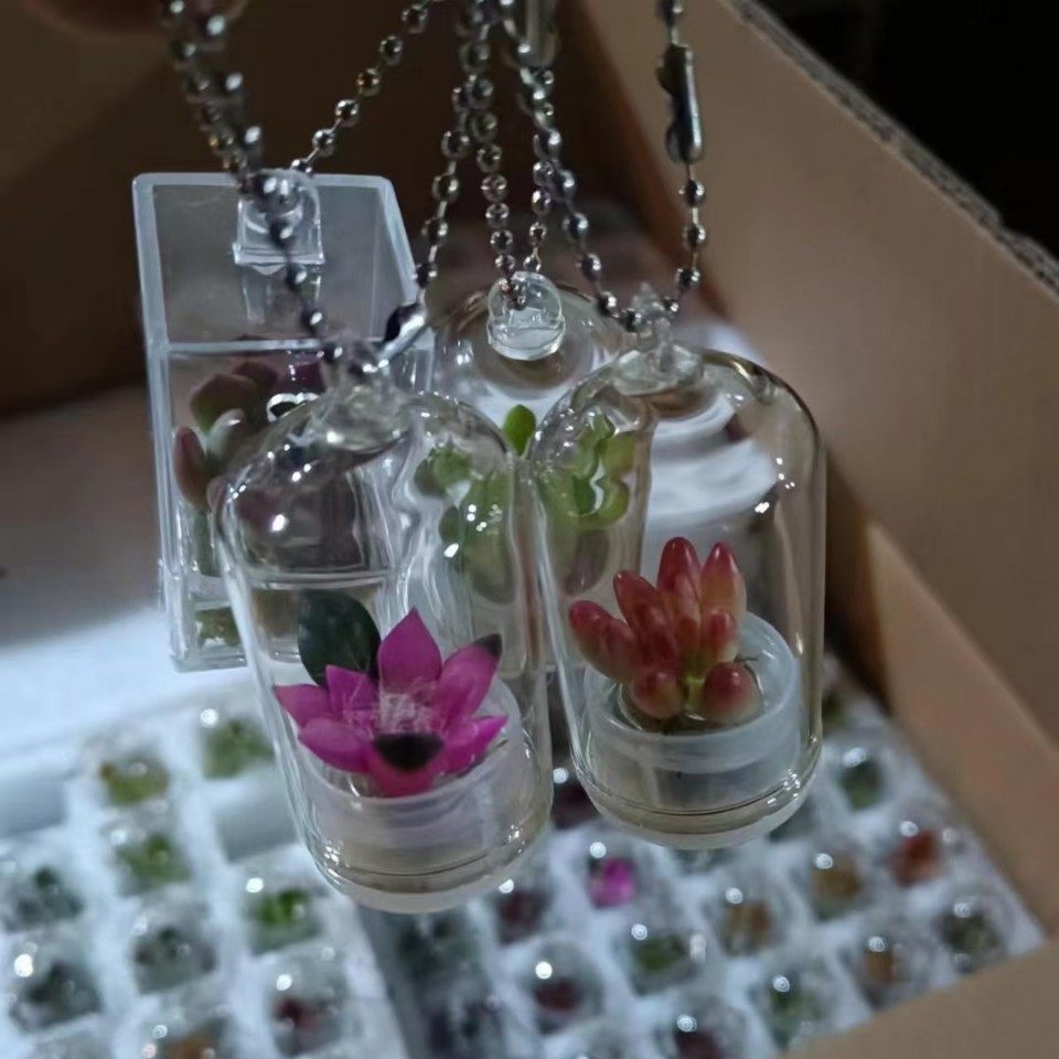 2024-10-21 12:04:00.jpg