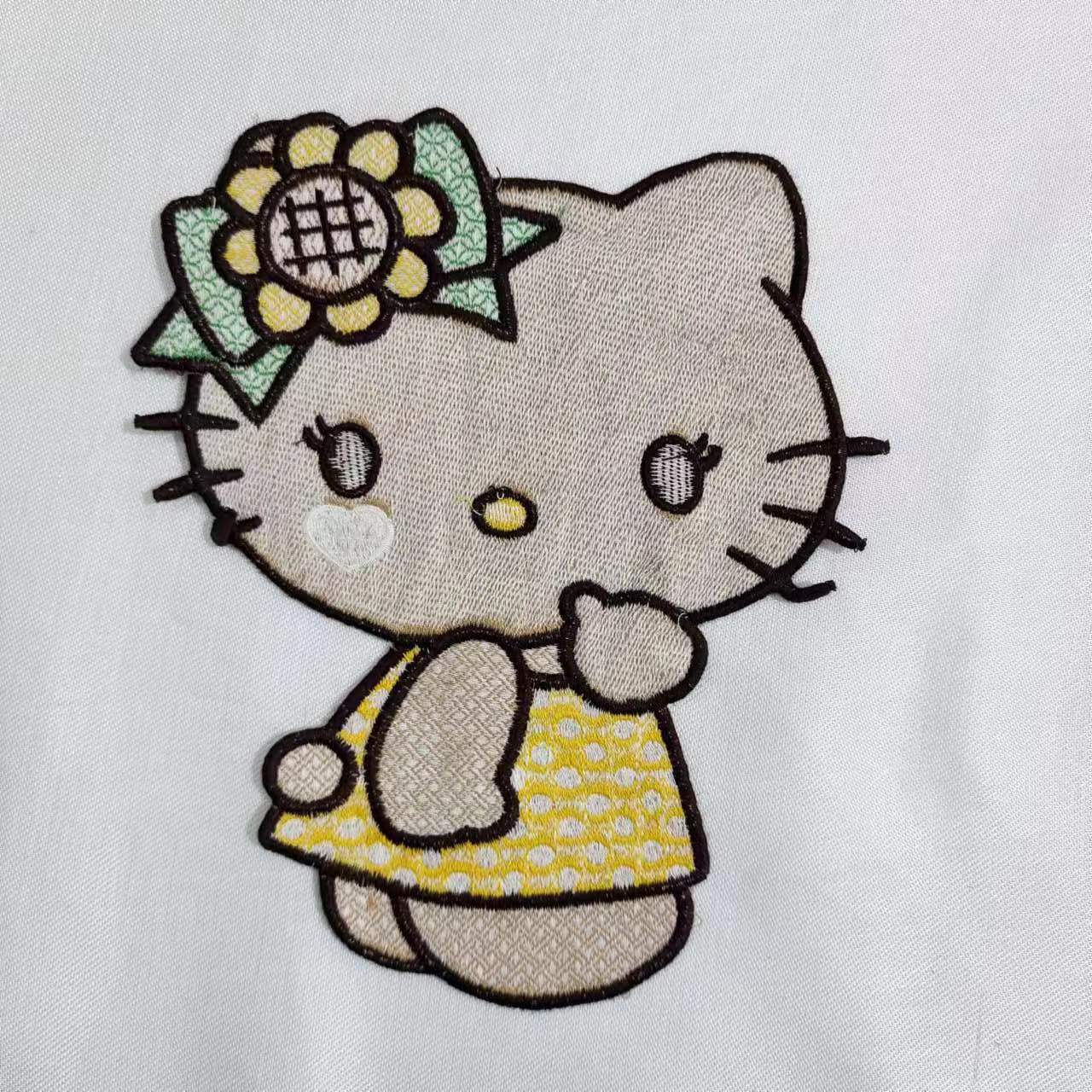 6666 (1)