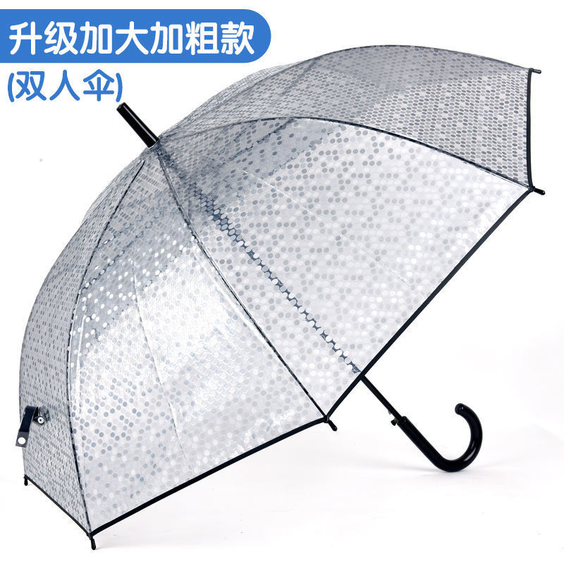 半透明黒おぼろの二人傘