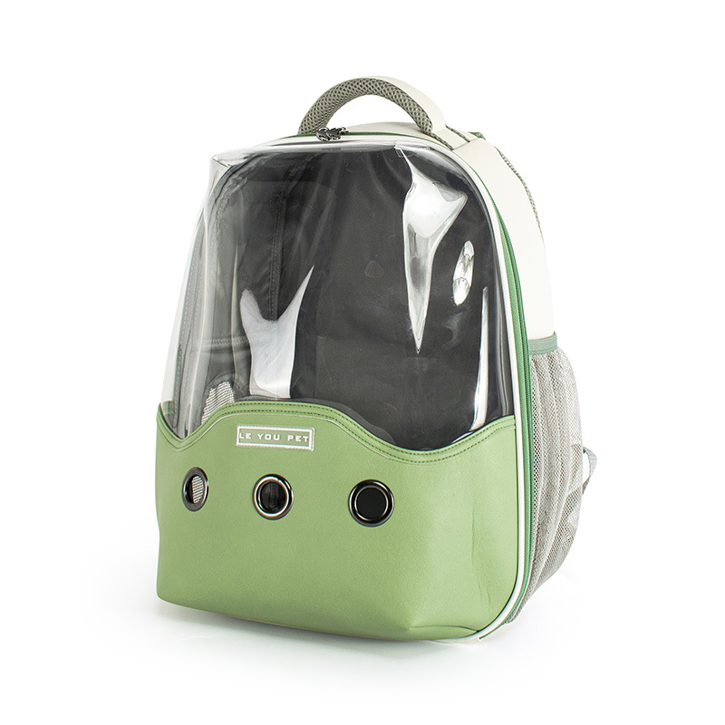 生き生きとした緑の猫のかばん