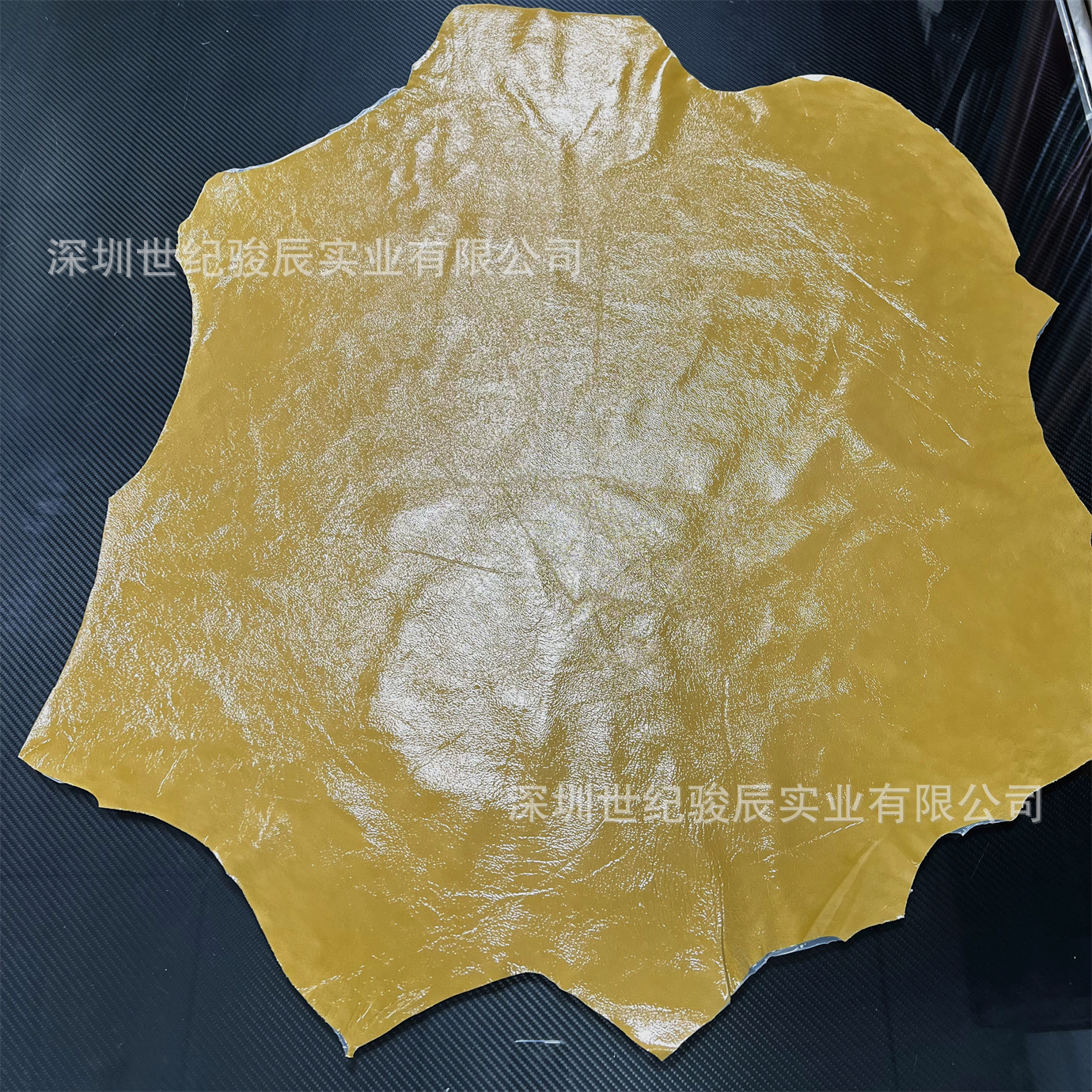 微信图片_20240813182409_副本.jpg