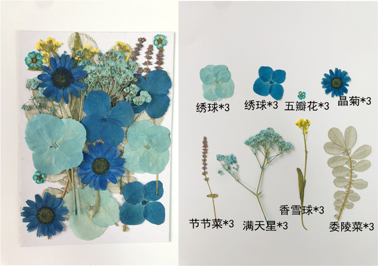 花材包E款2