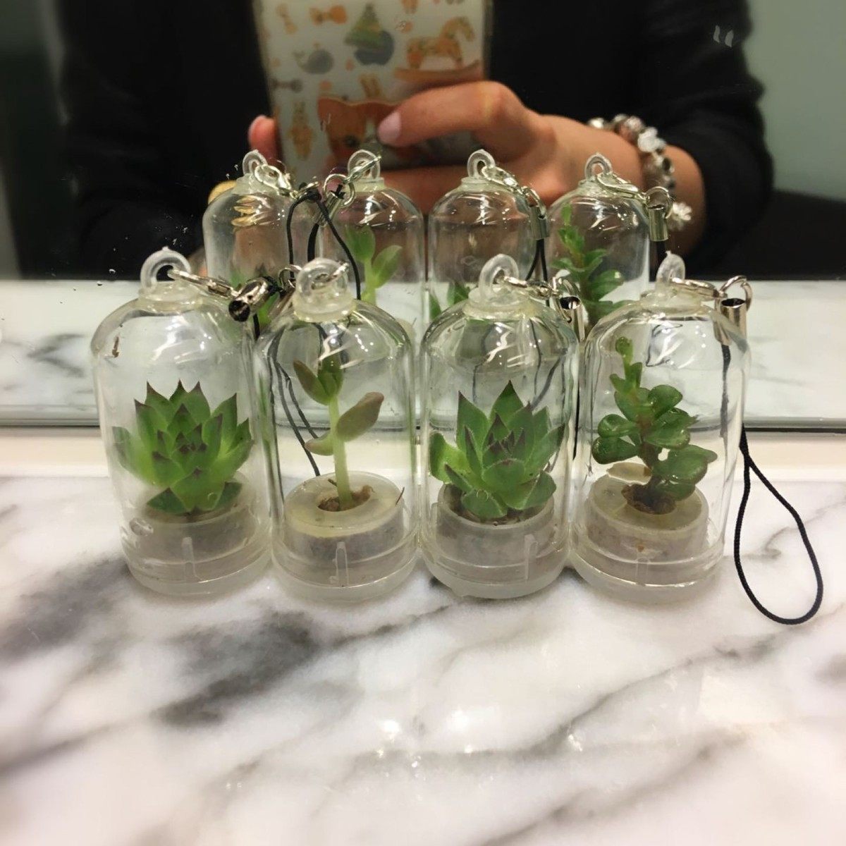 2024-10-21 11:07:15.jpg