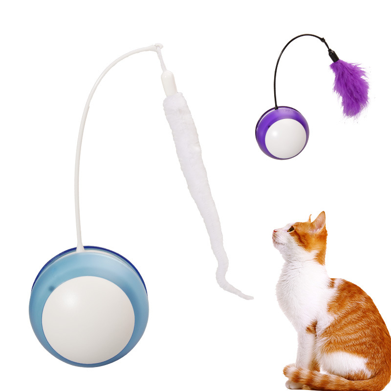 电动逗猫玩具 (1).jpg