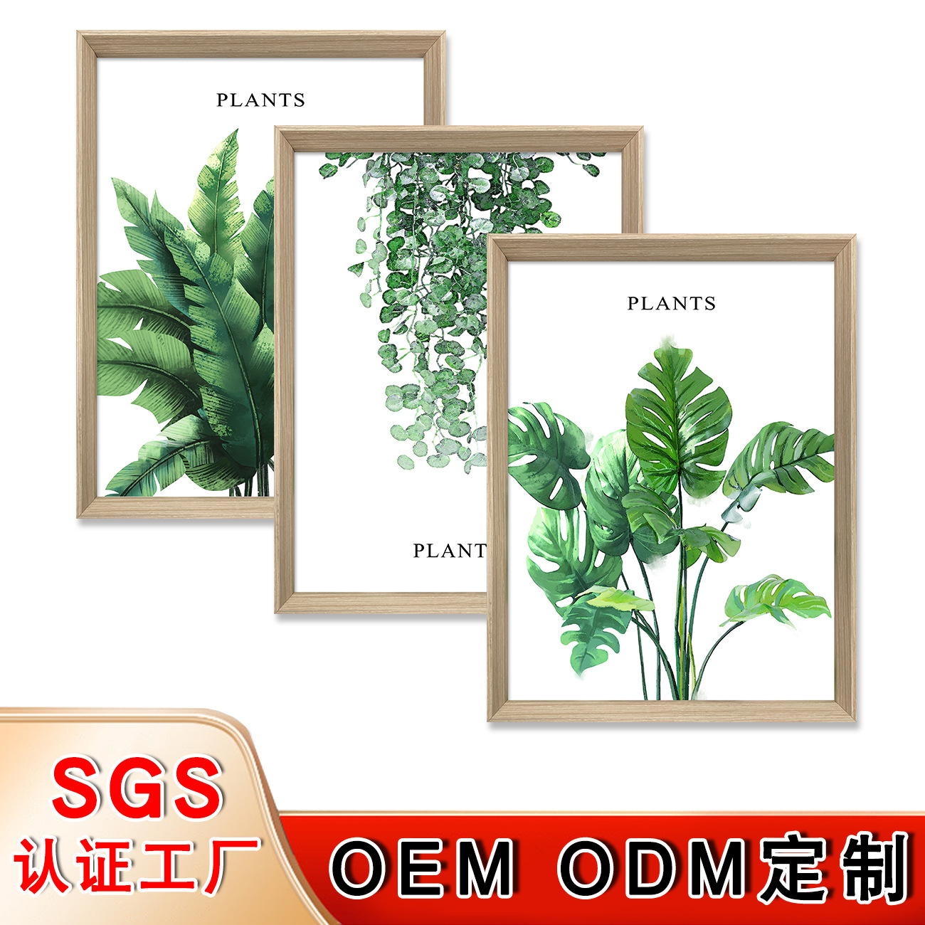 1.jpg主图22.11