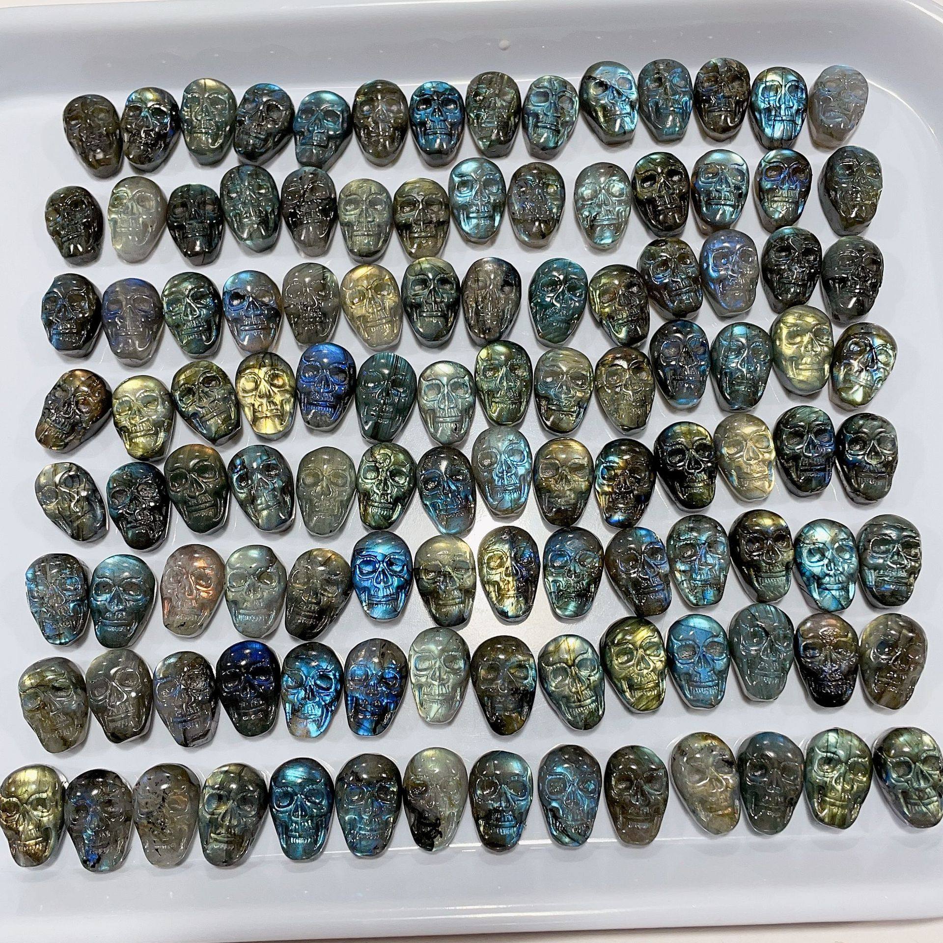 IMG_4841(20221103-111453)