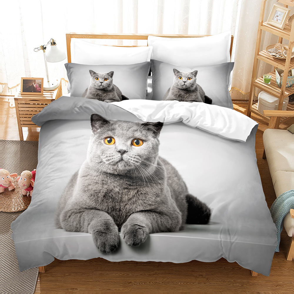 British-Shorthair-cat-WW-66384