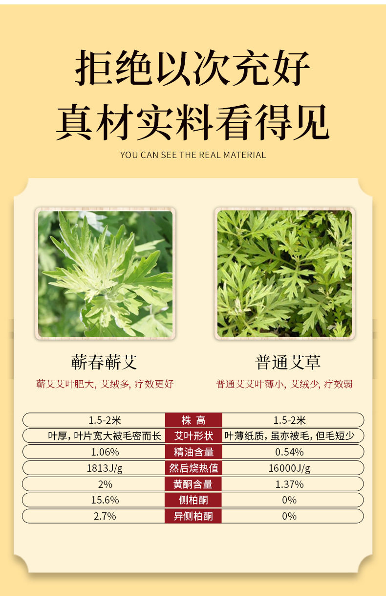 蕲艾叶_05.jpg