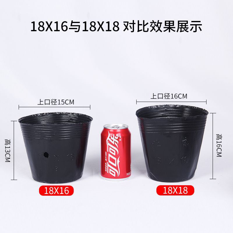 补4.jpg