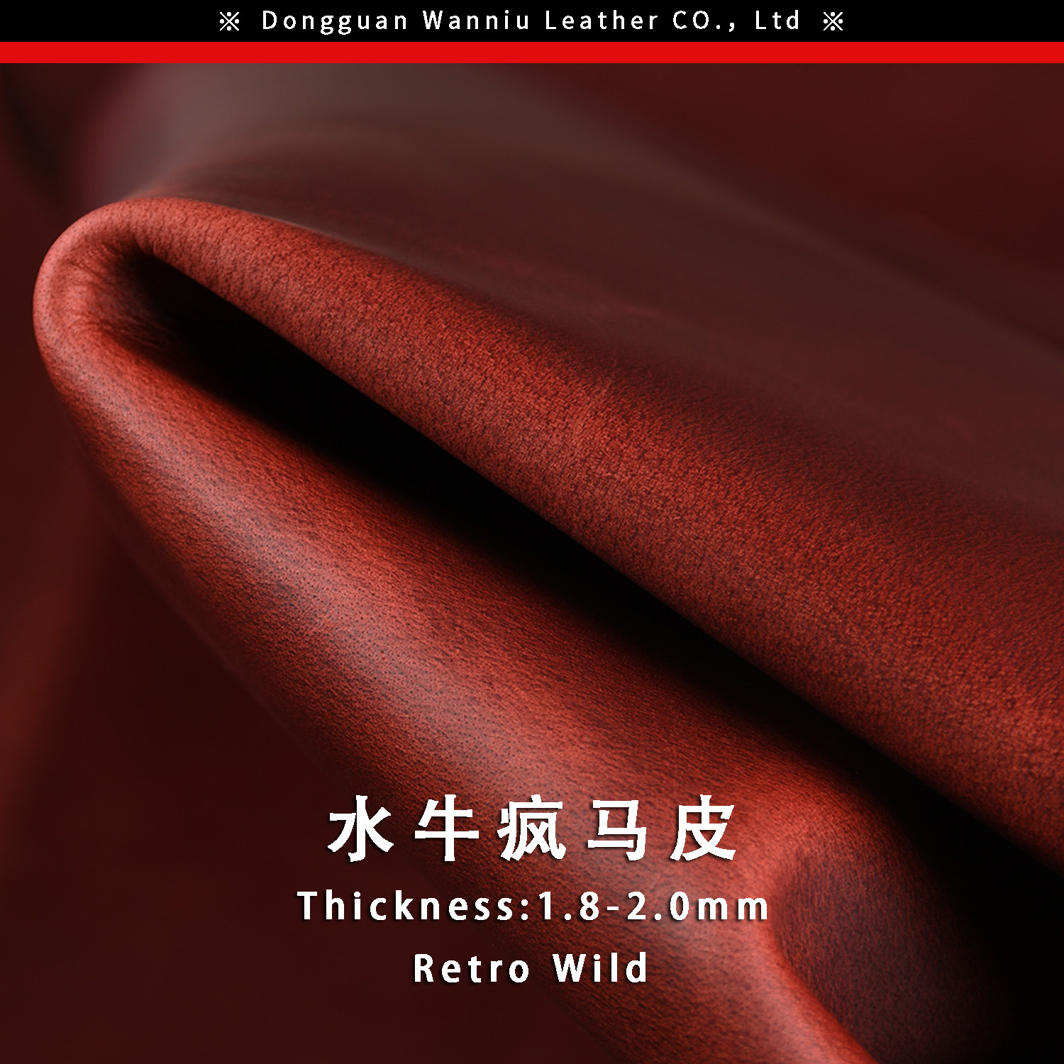 水牛疯马主图通用300-5.jpg