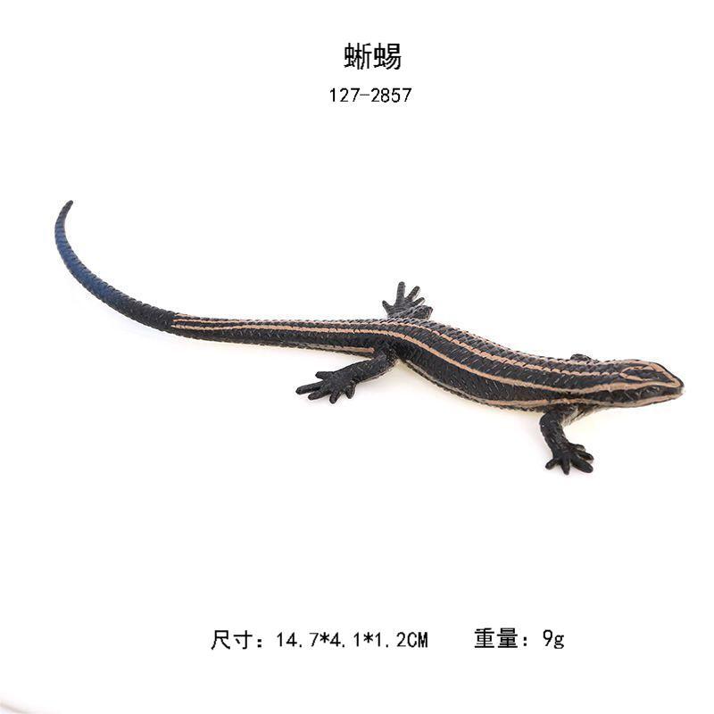 尺寸