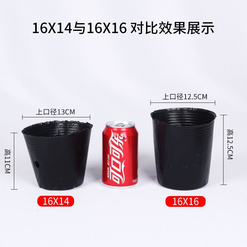 不11.jpg