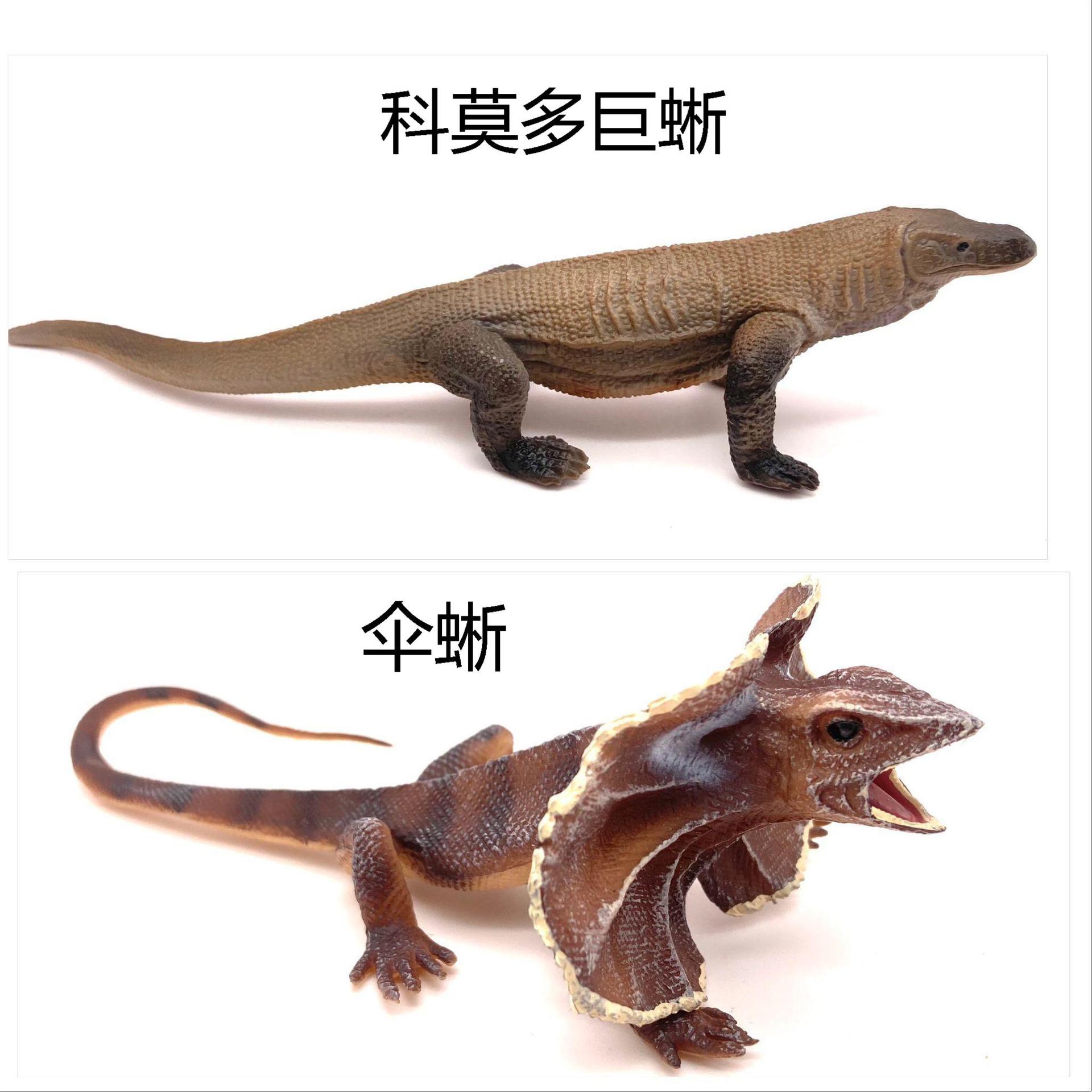 合集2