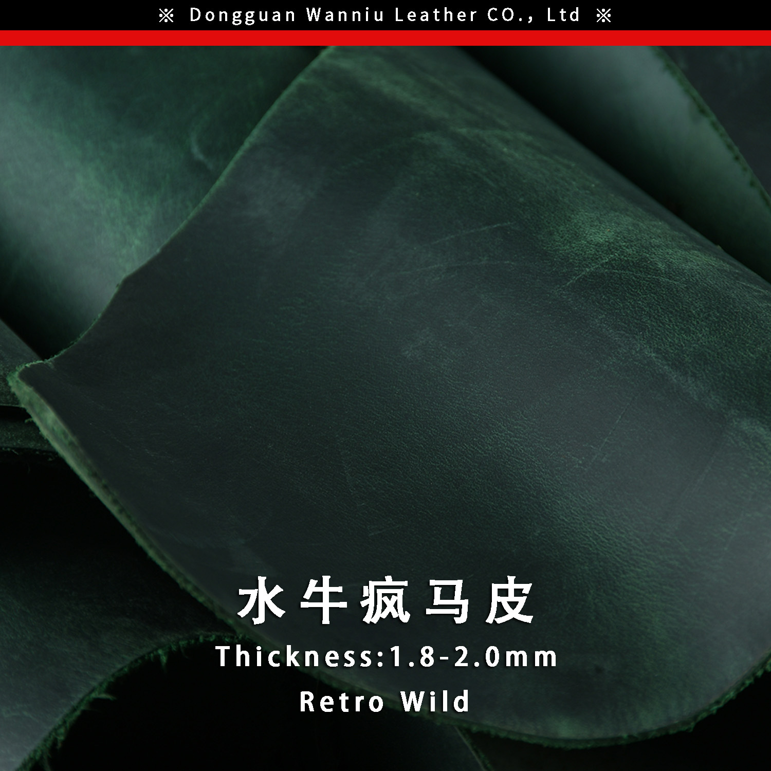 水牛疯马主图通用300-4.jpg