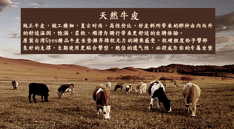 GS-16-牛皮坐垫详情页_新_01.jpg