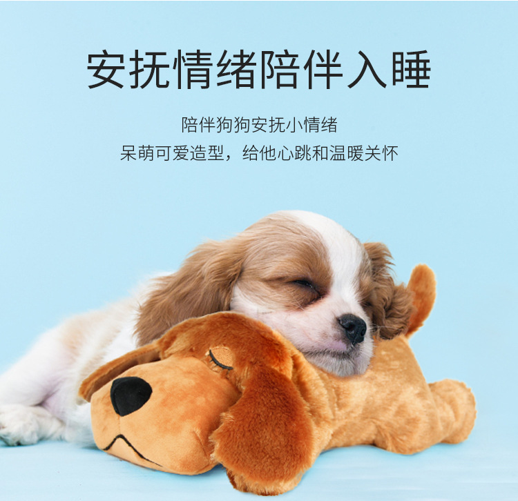宠物用品