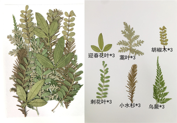 花材包B款2