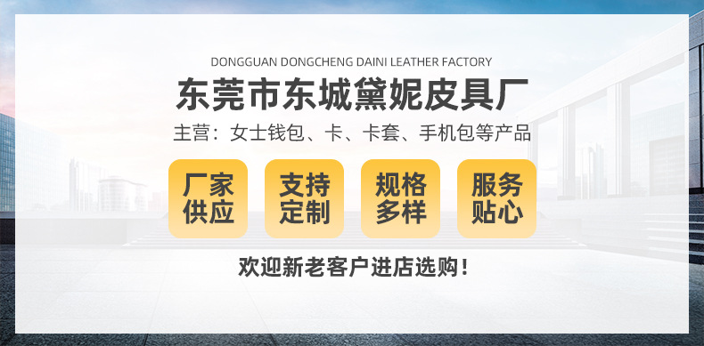 东莞市东城黛妮皮具厂爆款详情页_01