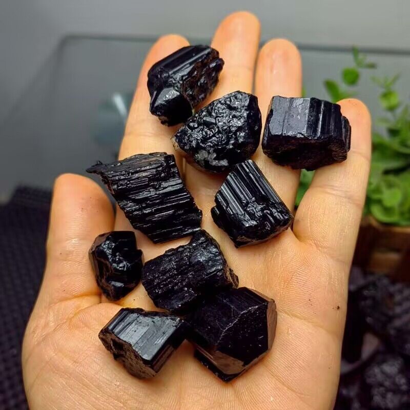 QQ图片20240902085842